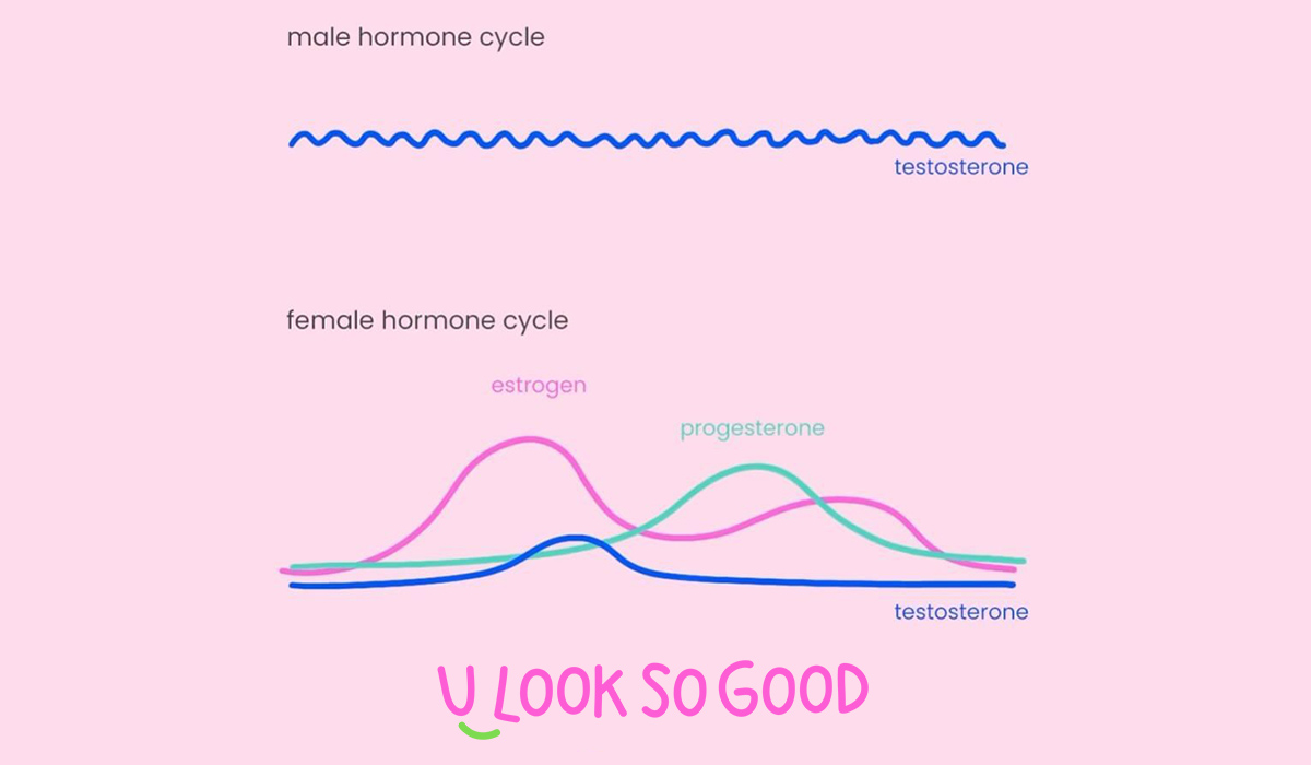 The Impact of Hormonal Differences Between Females and Males on Health and Well-being